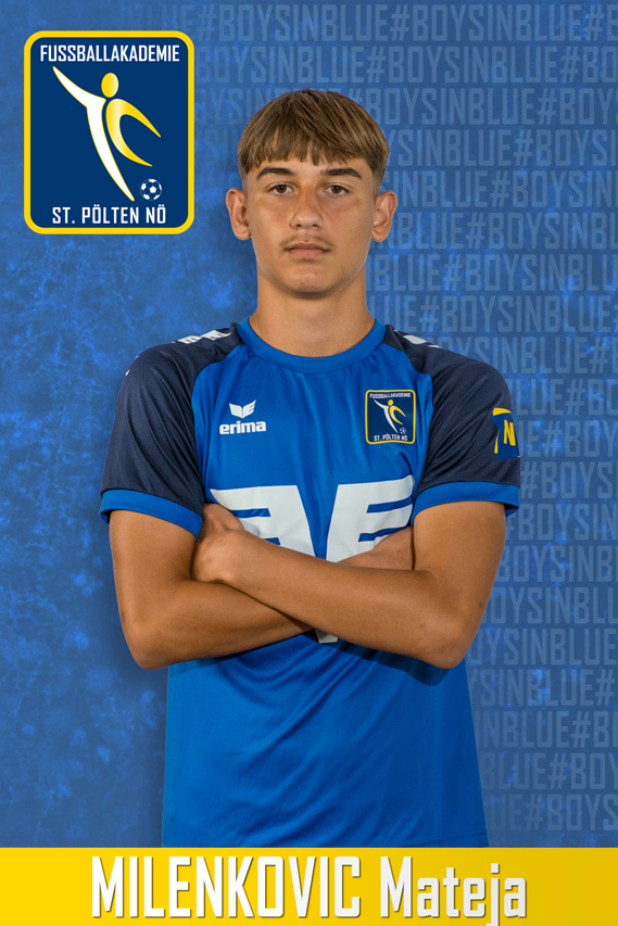 Milenkovic